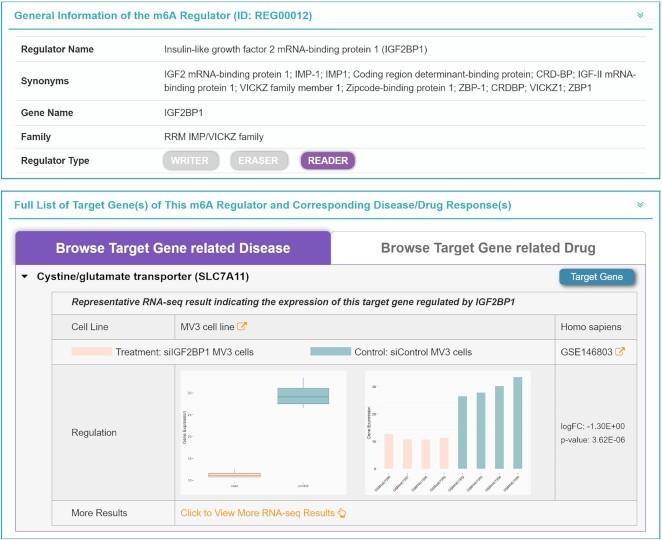 https://cdn.ncbi.nlm.nih.gov/pmc/blobs/fc78/9825441/60b0f3a9c89e/gkac801fig4.jpg
