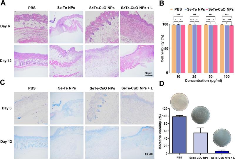 https://cdn.ncbi.nlm.nih.gov/pmc/blobs/fc79/11162491/58d34732c552/42004_2024_1215_Fig6_HTML.jpg
