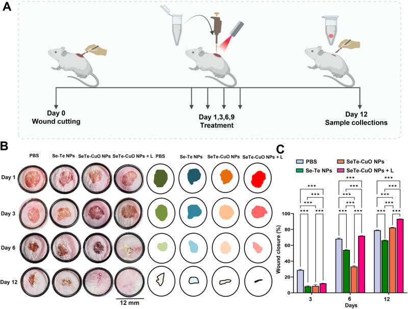 https://cdn.ncbi.nlm.nih.gov/pmc/blobs/fc79/11162491/93b03578d5ed/42004_2024_1215_Fig5_HTML.jpg