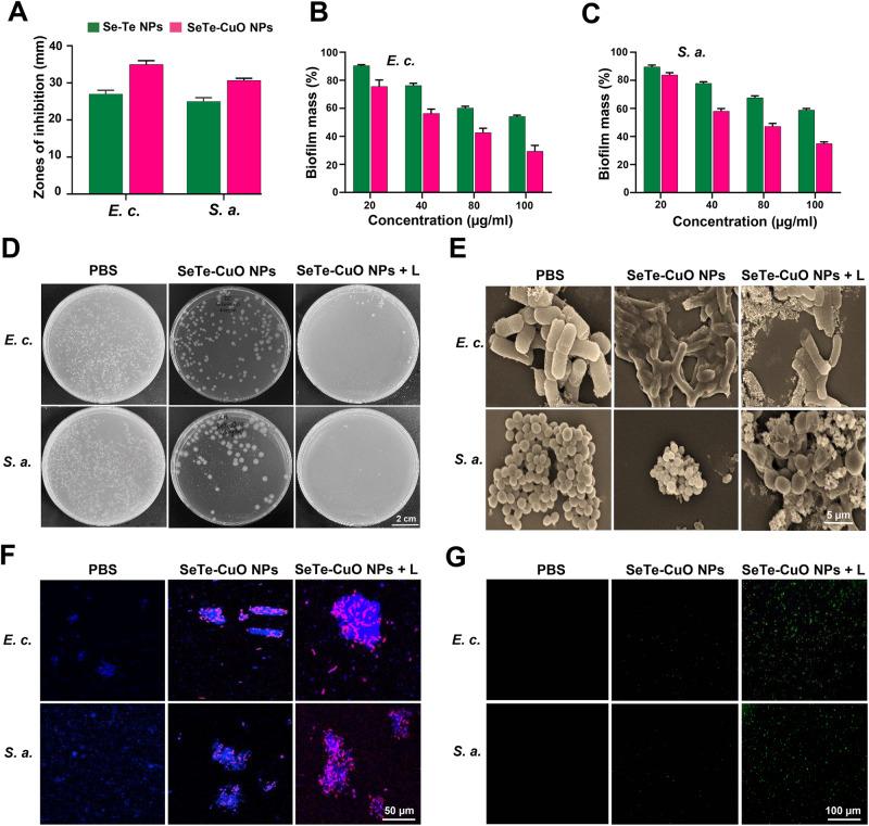 https://cdn.ncbi.nlm.nih.gov/pmc/blobs/fc79/11162491/e7a37367b1be/42004_2024_1215_Fig4_HTML.jpg