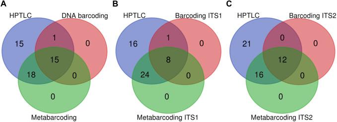 https://cdn.ncbi.nlm.nih.gov/pmc/blobs/fc7b/10875096/94029098d7f4/fphar-15-1353434-g001.jpg
