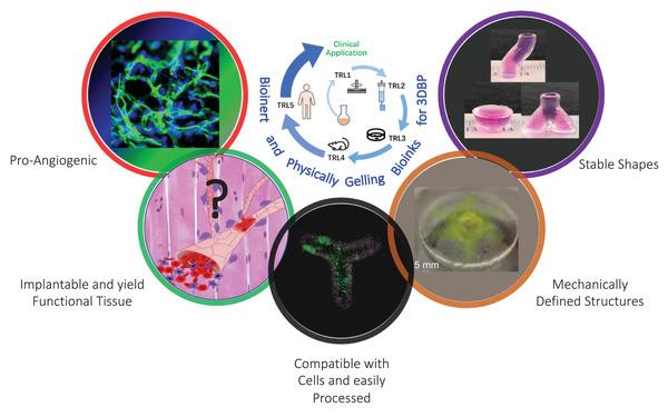 https://cdn.ncbi.nlm.nih.gov/pmc/blobs/fc7b/8787414/ea5c4cadbd91/ADVS-9-2103469-g007.jpg