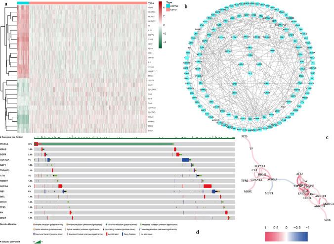 https://cdn.ncbi.nlm.nih.gov/pmc/blobs/fc7e/12050258/86ac67c71673/12672_2025_2393_Fig2_HTML.jpg
