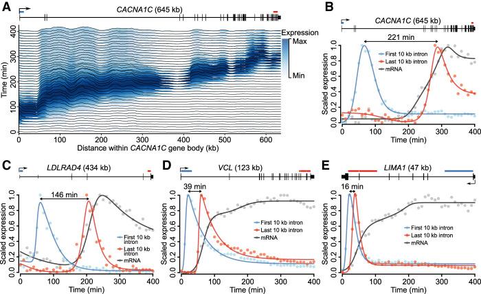 https://cdn.ncbi.nlm.nih.gov/pmc/blobs/fc7e/9435739/99d1c29959aa/1463f03.jpg