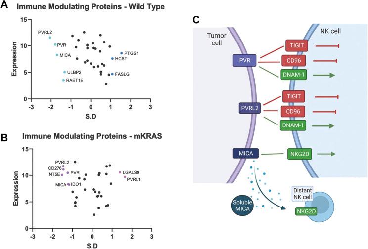 https://cdn.ncbi.nlm.nih.gov/pmc/blobs/fc7f/9451599/3581317adbe6/fgene-13-921447-g004.jpg