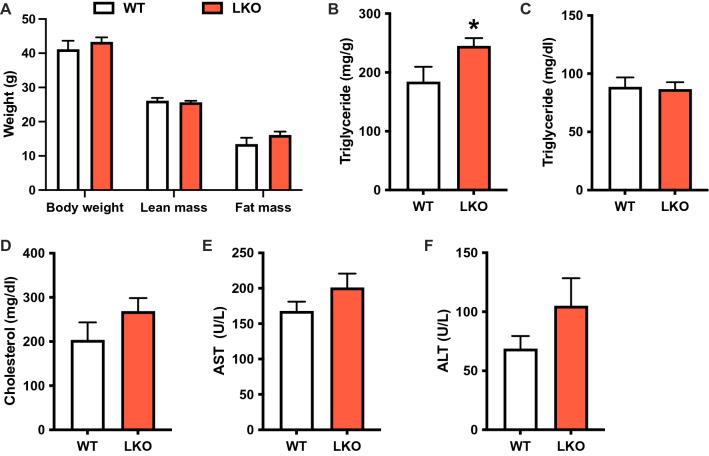 https://cdn.ncbi.nlm.nih.gov/pmc/blobs/fc81/10172344/905e7d923521/41598_2023_34710_Fig4_HTML.jpg