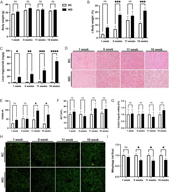 https://cdn.ncbi.nlm.nih.gov/pmc/blobs/fc81/10172344/d2a12051db83/41598_2023_34710_Fig1_HTML.jpg