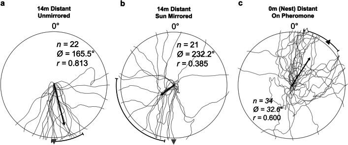 https://cdn.ncbi.nlm.nih.gov/pmc/blobs/fc81/10923983/0dd4bb607d5d/13420_2023_604_Fig6_HTML.jpg