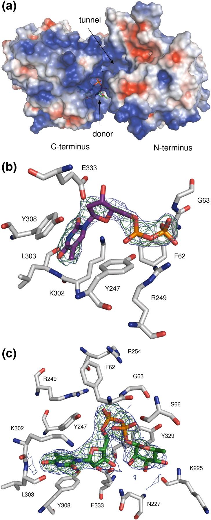 https://cdn.ncbi.nlm.nih.gov/pmc/blobs/fc81/3898925/0adf54d0b7d7/gr3.jpg