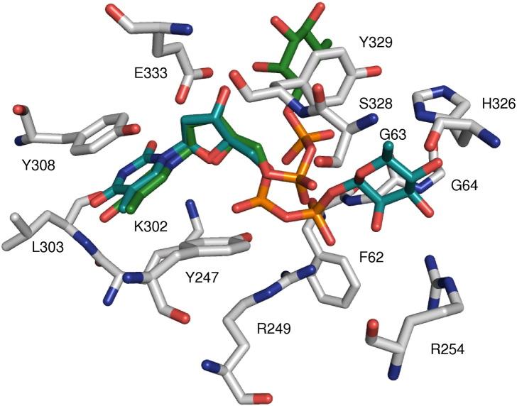 https://cdn.ncbi.nlm.nih.gov/pmc/blobs/fc81/3898925/18d97eb03e5b/gr6.jpg