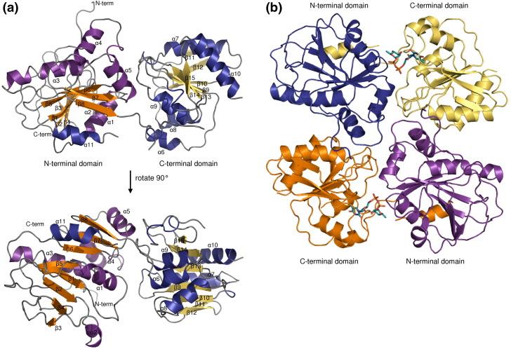 https://cdn.ncbi.nlm.nih.gov/pmc/blobs/fc81/3898925/99a14f3c72b1/gr2.jpg
