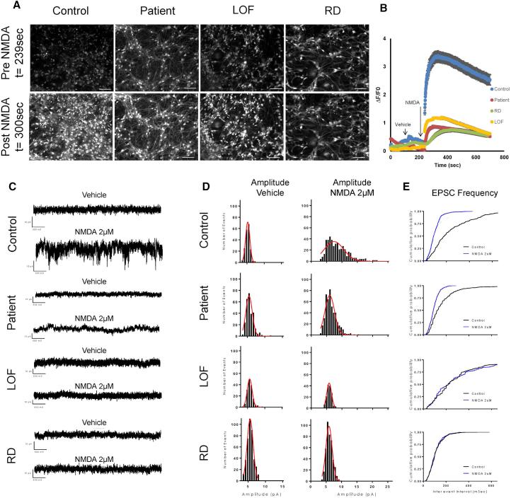 https://cdn.ncbi.nlm.nih.gov/pmc/blobs/fc81/6067152/6fae759f7801/gr6.jpg