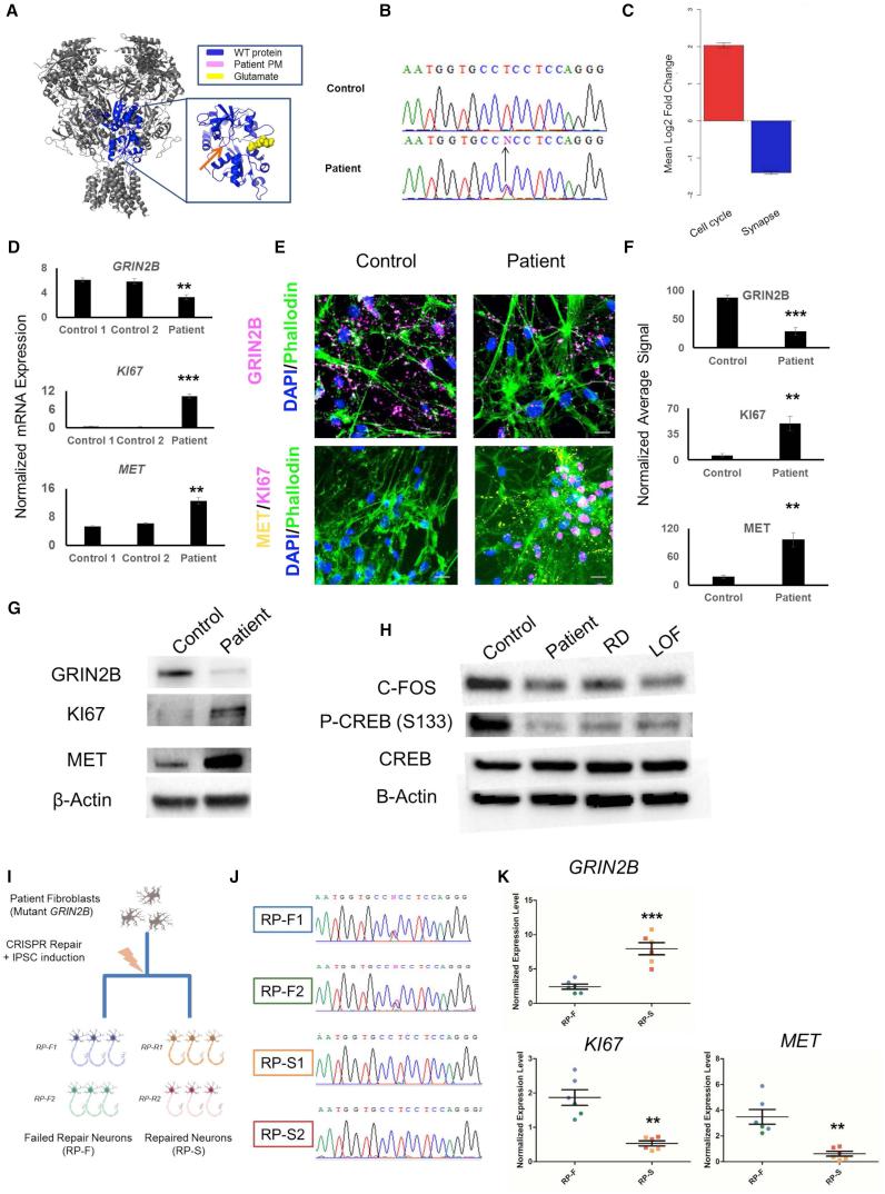 https://cdn.ncbi.nlm.nih.gov/pmc/blobs/fc81/6067152/8d3c96dc630a/gr4.jpg