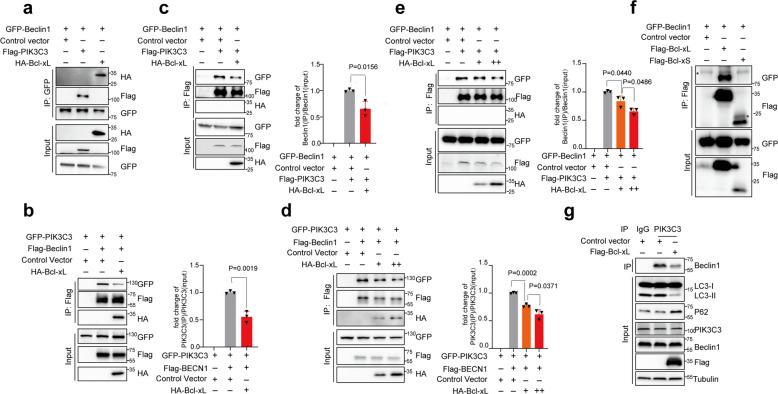 https://cdn.ncbi.nlm.nih.gov/pmc/blobs/fc85/7933324/005ea5c1af63/41392_2021_495_Fig4_HTML.jpg