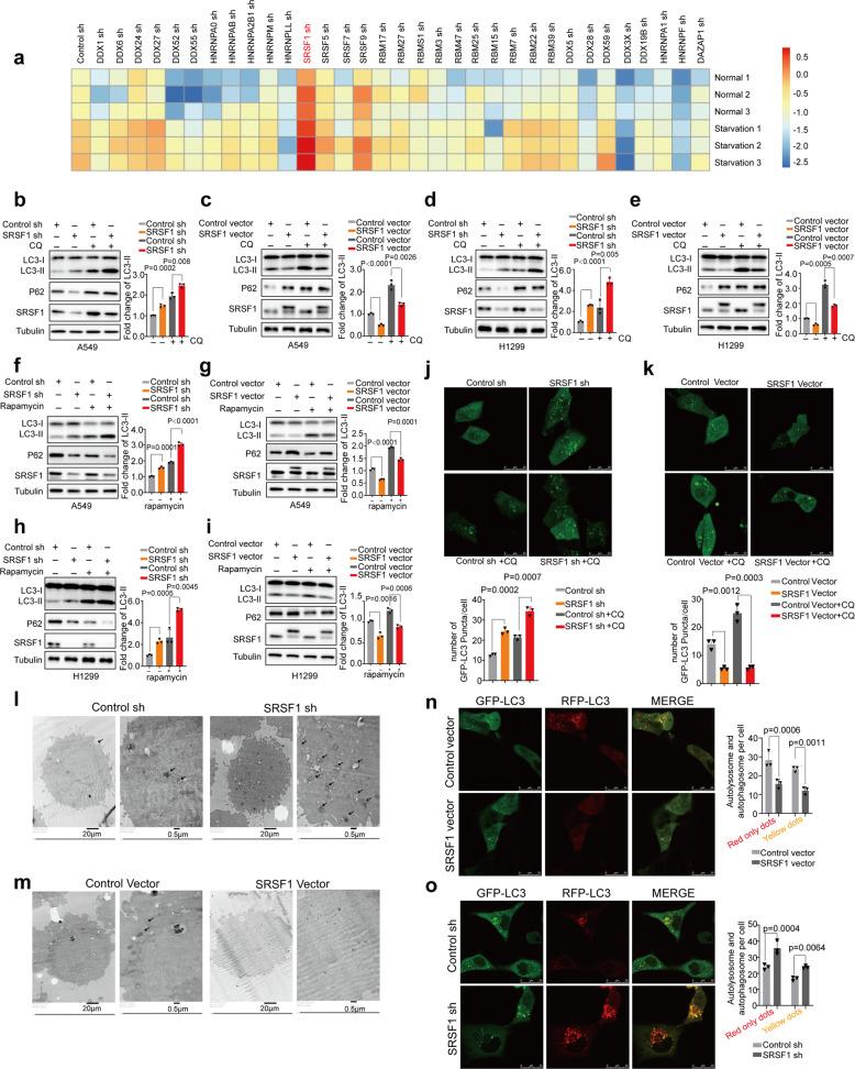 https://cdn.ncbi.nlm.nih.gov/pmc/blobs/fc85/7933324/ca4c78d18951/41392_2021_495_Fig1_HTML.jpg