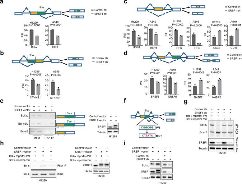 https://cdn.ncbi.nlm.nih.gov/pmc/blobs/fc85/7933324/ed62f465dd40/41392_2021_495_Fig2_HTML.jpg