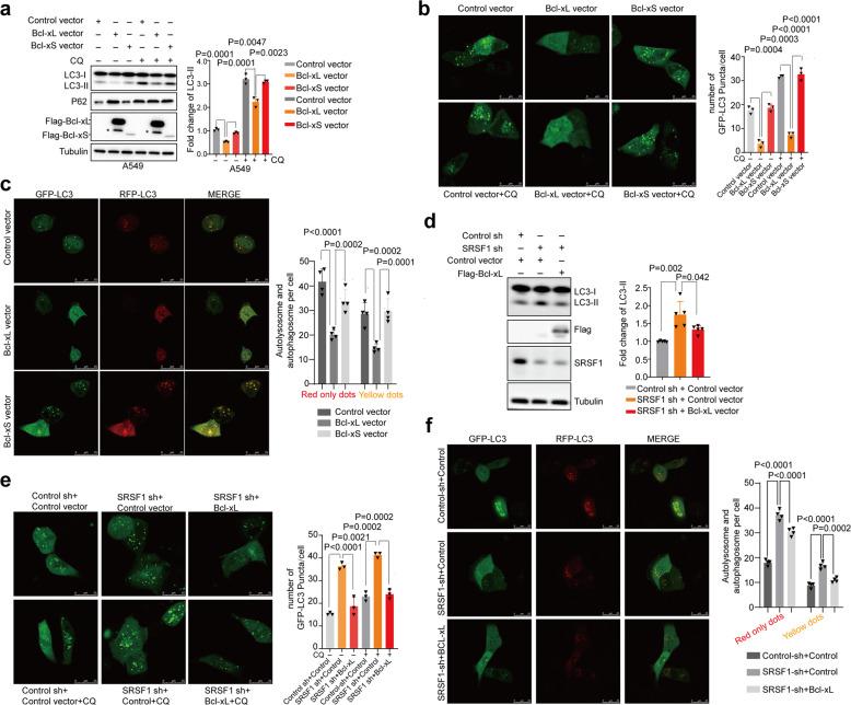 https://cdn.ncbi.nlm.nih.gov/pmc/blobs/fc85/7933324/f24a35f0c179/41392_2021_495_Fig3_HTML.jpg