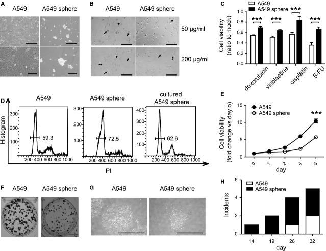 https://cdn.ncbi.nlm.nih.gov/pmc/blobs/fc89/4420595/03334c98495c/jcmm0019-0915-f1.jpg