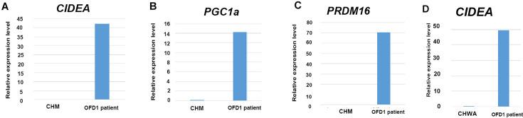 https://cdn.ncbi.nlm.nih.gov/pmc/blobs/fc8d/11469673/1a32220ffe65/elife-85042-fig9-figsupp1.jpg