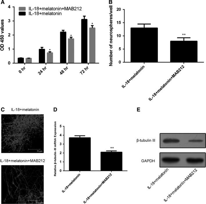 https://cdn.ncbi.nlm.nih.gov/pmc/blobs/fc8d/5571550/27e7417b6535/JCMM-21-2163-g007.jpg