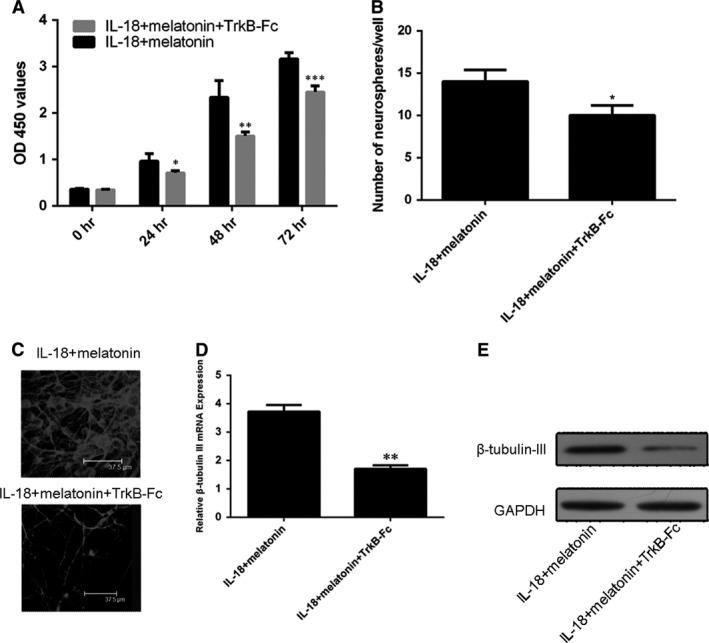 https://cdn.ncbi.nlm.nih.gov/pmc/blobs/fc8d/5571550/60248321fbe1/JCMM-21-2163-g006.jpg