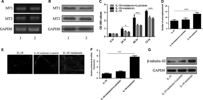 https://cdn.ncbi.nlm.nih.gov/pmc/blobs/fc8d/5571550/9d166e820b45/JCMM-21-2163-g004.jpg