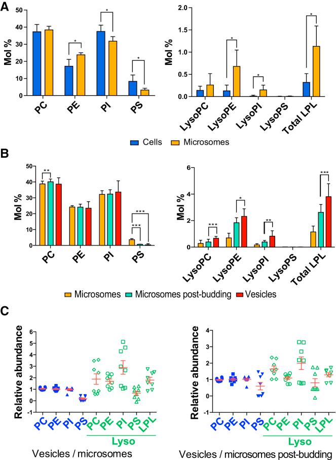 https://cdn.ncbi.nlm.nih.gov/pmc/blobs/fc8f/6013297/e06616aac785/gr2.jpg
