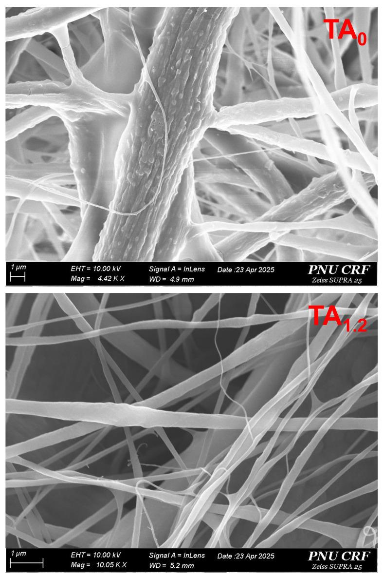 https://cdn.ncbi.nlm.nih.gov/pmc/blobs/fc90/12250959/1114043bf0a8/materials-18-03112-g001.jpg