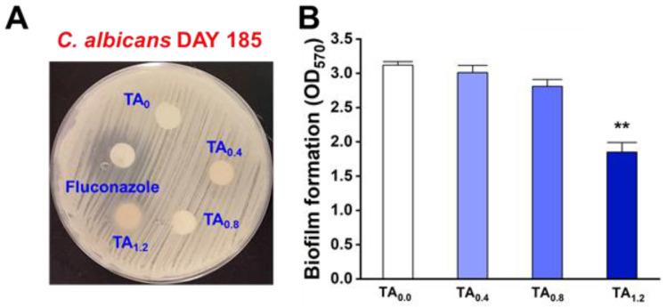 https://cdn.ncbi.nlm.nih.gov/pmc/blobs/fc90/12250959/1c4e0d7823c7/materials-18-03112-g003.jpg