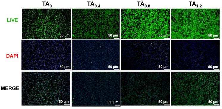https://cdn.ncbi.nlm.nih.gov/pmc/blobs/fc90/12250959/21f2c64f587b/materials-18-03112-g006.jpg