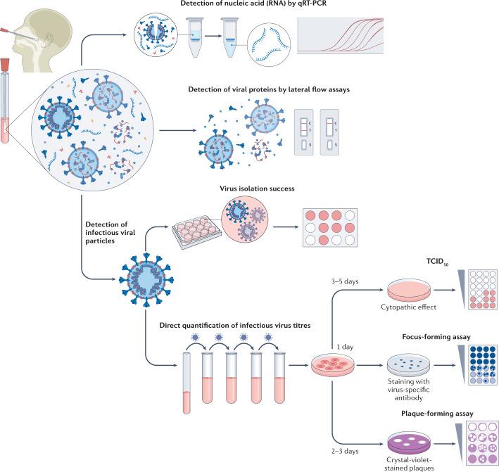 https://cdn.ncbi.nlm.nih.gov/pmc/blobs/fc92/9716513/925d0f370b27/41579_2022_822_Fig1_HTML.jpg