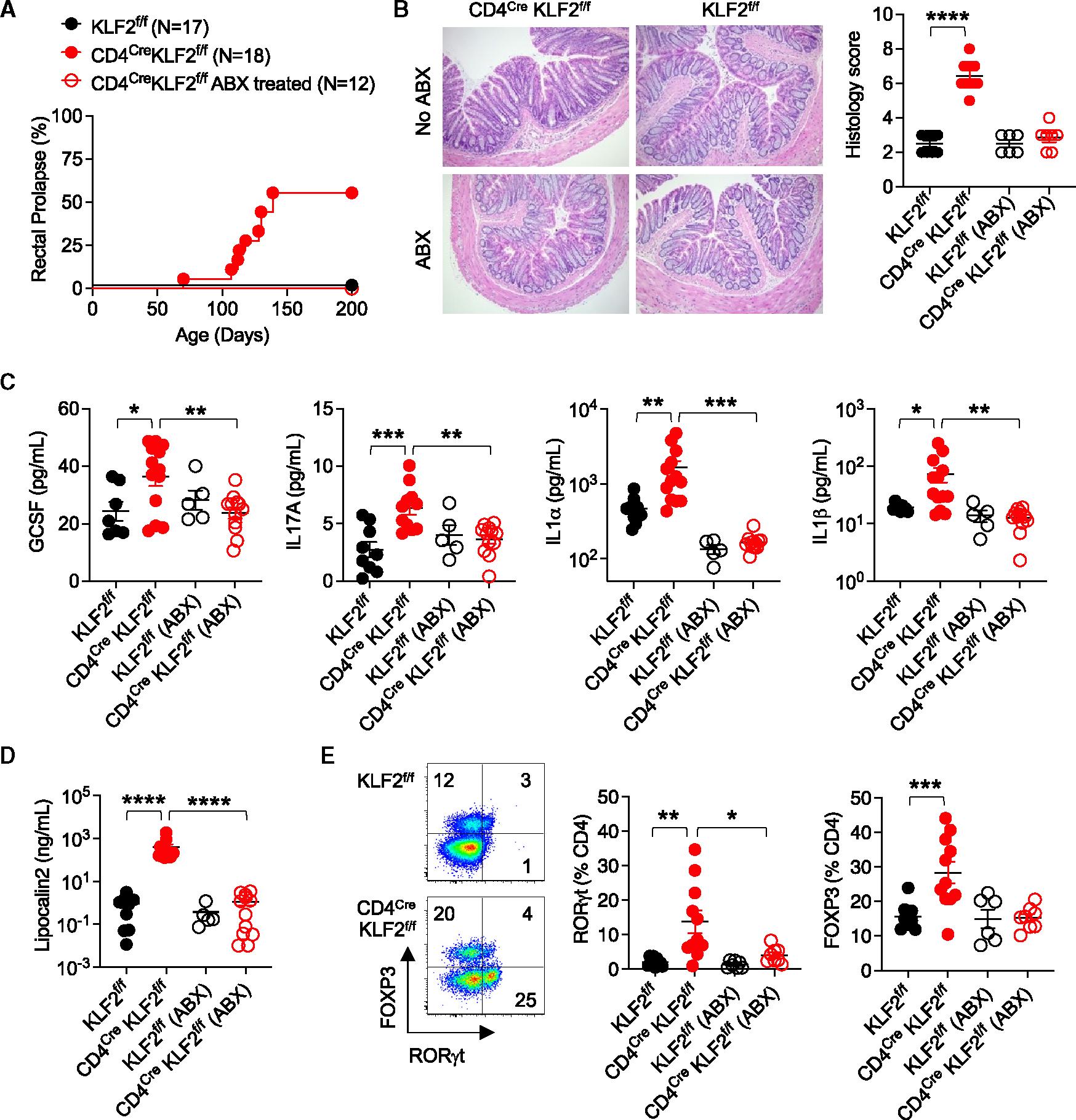 https://cdn.ncbi.nlm.nih.gov/pmc/blobs/fc95/10822050/16e08a45a178/nihms-1948179-f0003.jpg
