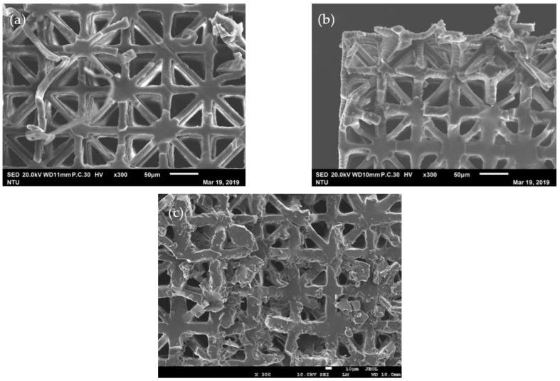 https://cdn.ncbi.nlm.nih.gov/pmc/blobs/fc97/7961826/1c89a364ccf7/polymers-13-00785-g005.jpg