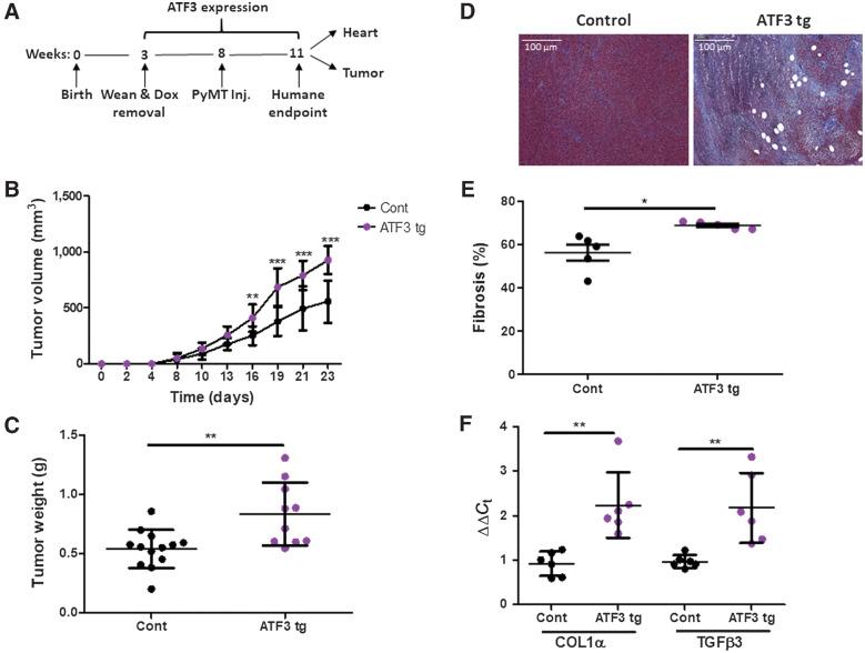 https://cdn.ncbi.nlm.nih.gov/pmc/blobs/fc98/9359722/33af4be6e9a3/1753fig1.jpg