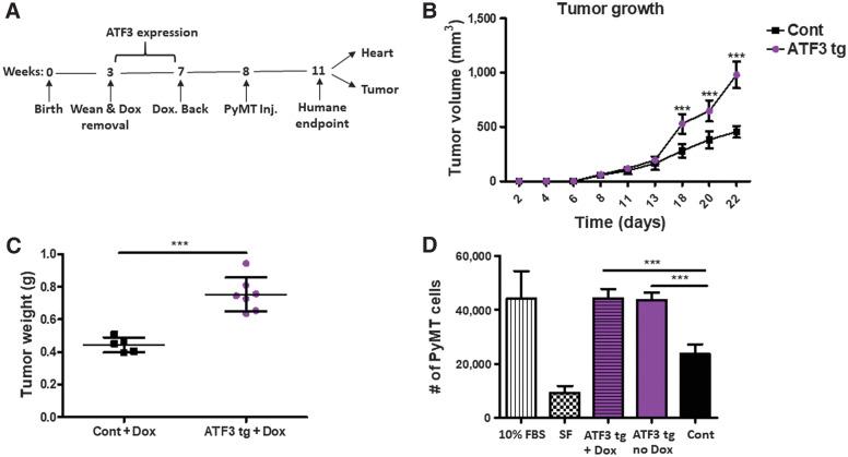 https://cdn.ncbi.nlm.nih.gov/pmc/blobs/fc98/9359722/bc2238a2d140/1753fig4.jpg