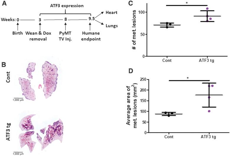 https://cdn.ncbi.nlm.nih.gov/pmc/blobs/fc98/9359722/f3d114d71182/1753fig3.jpg