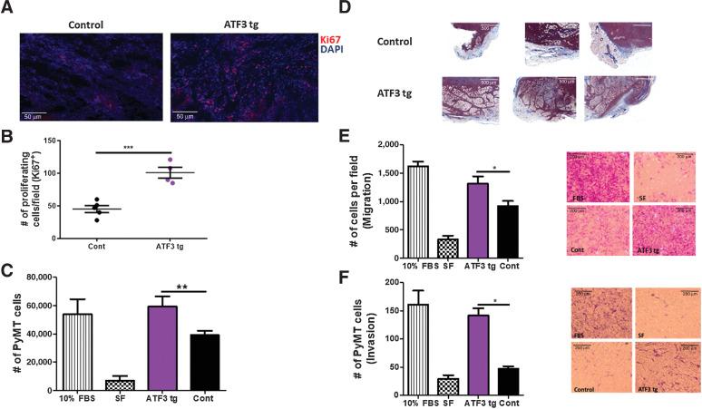 https://cdn.ncbi.nlm.nih.gov/pmc/blobs/fc98/9359722/f521874498c2/1753fig2.jpg