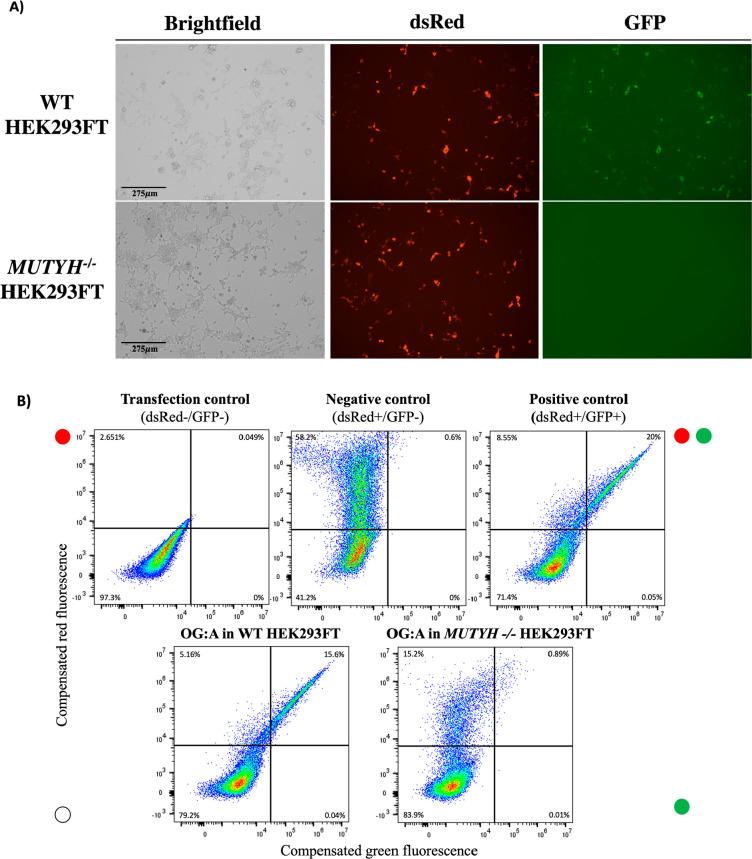 https://cdn.ncbi.nlm.nih.gov/pmc/blobs/fc9b/10906249/9fd643a12d00/oc3c00784_0003.jpg