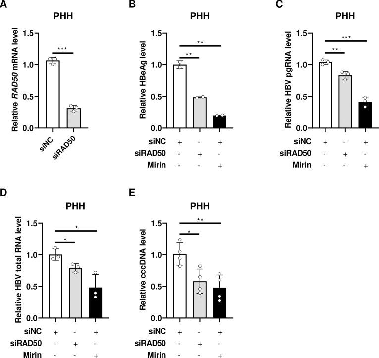 https://cdn.ncbi.nlm.nih.gov/pmc/blobs/fc9d/11734937/7cf82fd0edea/ppat.1012824.g006.jpg
