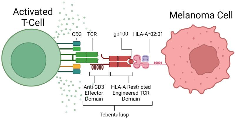 https://cdn.ncbi.nlm.nih.gov/pmc/blobs/fc9e/12071000/d6b5cf89f83f/cancers-17-01403-g003.jpg