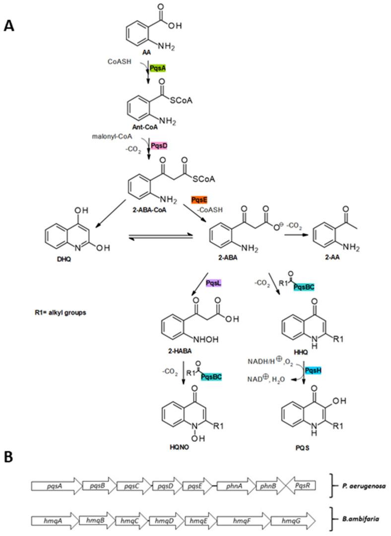 https://cdn.ncbi.nlm.nih.gov/pmc/blobs/fc9e/7731028/049952012217/molecules-25-05689-g004.jpg