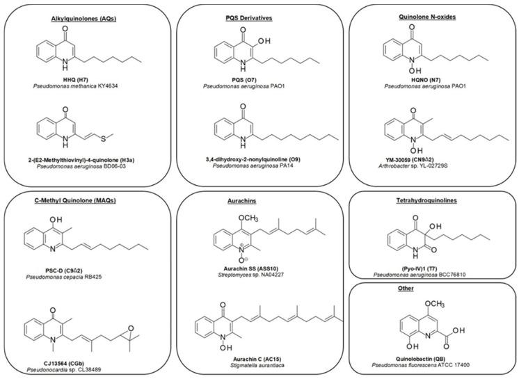 https://cdn.ncbi.nlm.nih.gov/pmc/blobs/fc9e/7731028/c20bbd5e9fec/molecules-25-05689-g002.jpg
