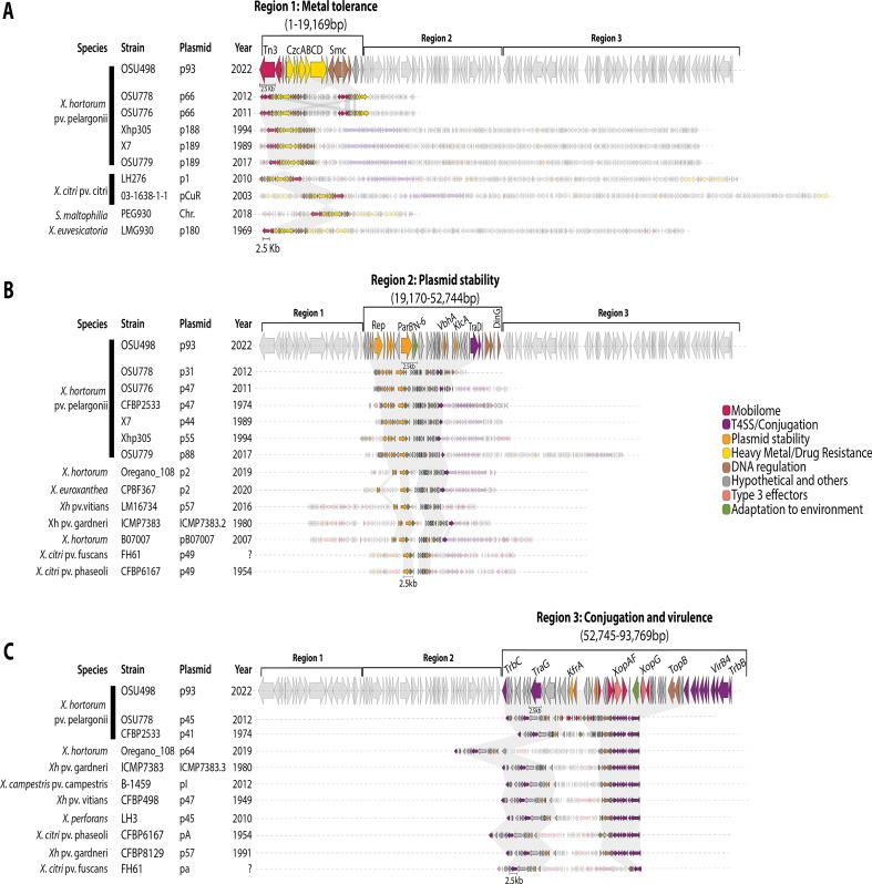 https://cdn.ncbi.nlm.nih.gov/pmc/blobs/fc9f/10878067/f791b3098681/msystems.00795-23.f002.jpg
