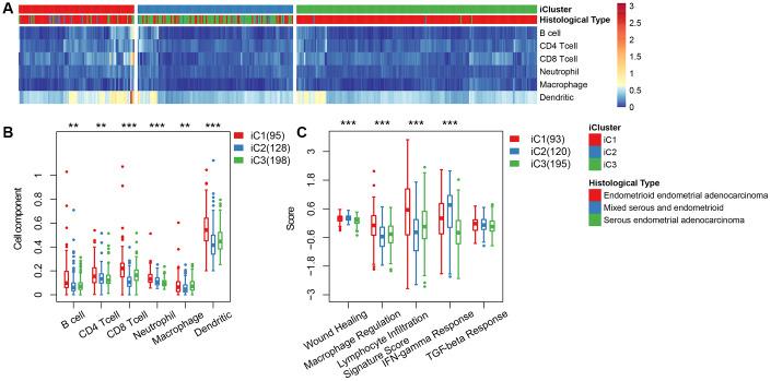 https://cdn.ncbi.nlm.nih.gov/pmc/blobs/fc9f/7288931/2b440f5f6627/aging-12-103202-g005.jpg