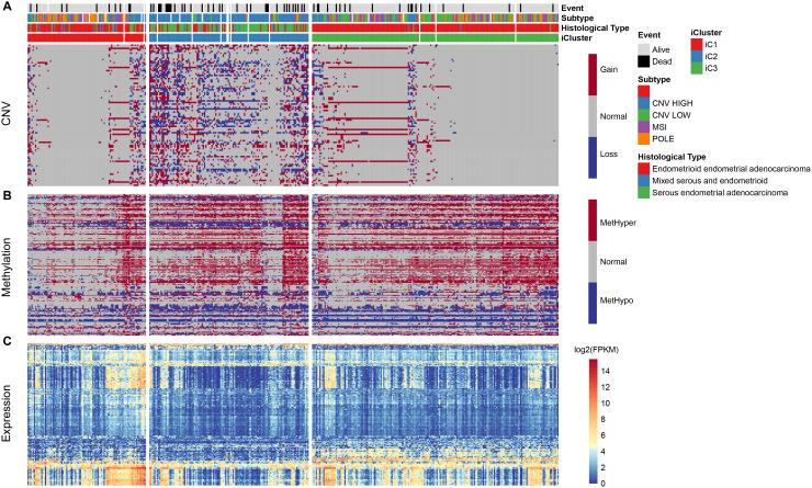 https://cdn.ncbi.nlm.nih.gov/pmc/blobs/fc9f/7288931/2ee663060677/aging-12-103202-g006.jpg
