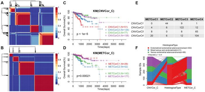 https://cdn.ncbi.nlm.nih.gov/pmc/blobs/fc9f/7288931/54834cc06e30/aging-12-103202-g002.jpg