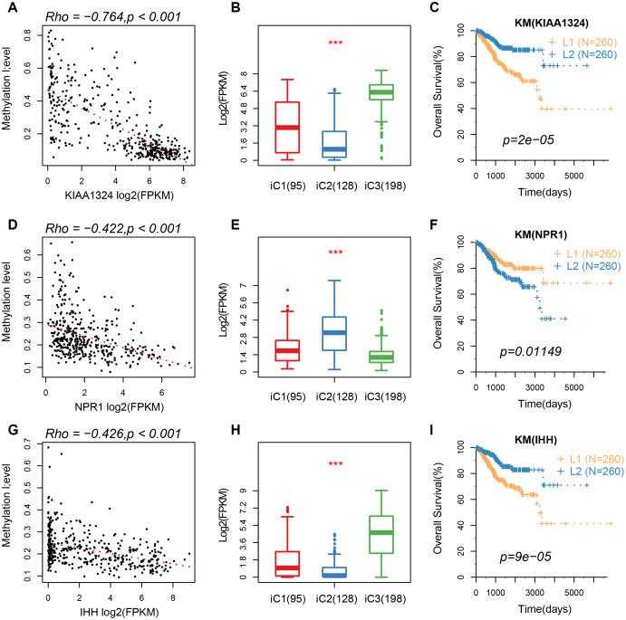 https://cdn.ncbi.nlm.nih.gov/pmc/blobs/fc9f/7288931/61a431232016/aging-12-103202-g007.jpg