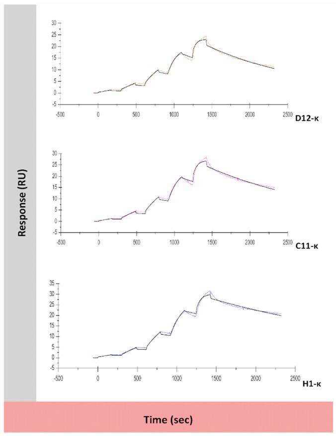 https://cdn.ncbi.nlm.nih.gov/pmc/blobs/fca0/6640692/42bc42f86fcd/antibodies-08-00015-g005.jpg