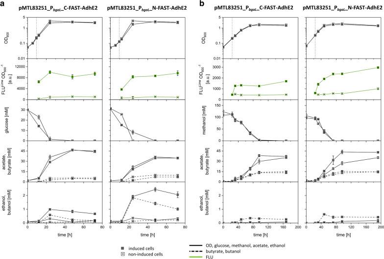 https://cdn.ncbi.nlm.nih.gov/pmc/blobs/fca0/8111989/a3b061b512bd/13068_2021_1966_Fig5_HTML.jpg