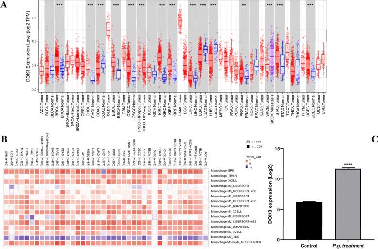 https://cdn.ncbi.nlm.nih.gov/pmc/blobs/fca1/11055382/17b78c33367d/12885_2024_12300_Fig3_HTML.jpg